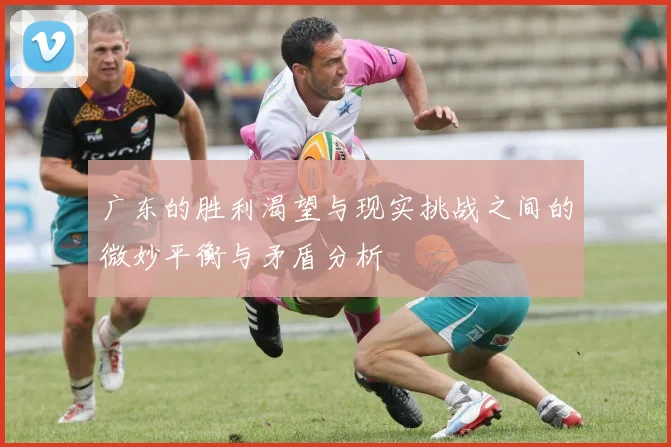 广东的胜利渴望与现实挑战之间的微妙平衡与矛盾分析