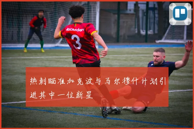 热刺瞄准加克波与马尔穆什计划引进其中一位新星